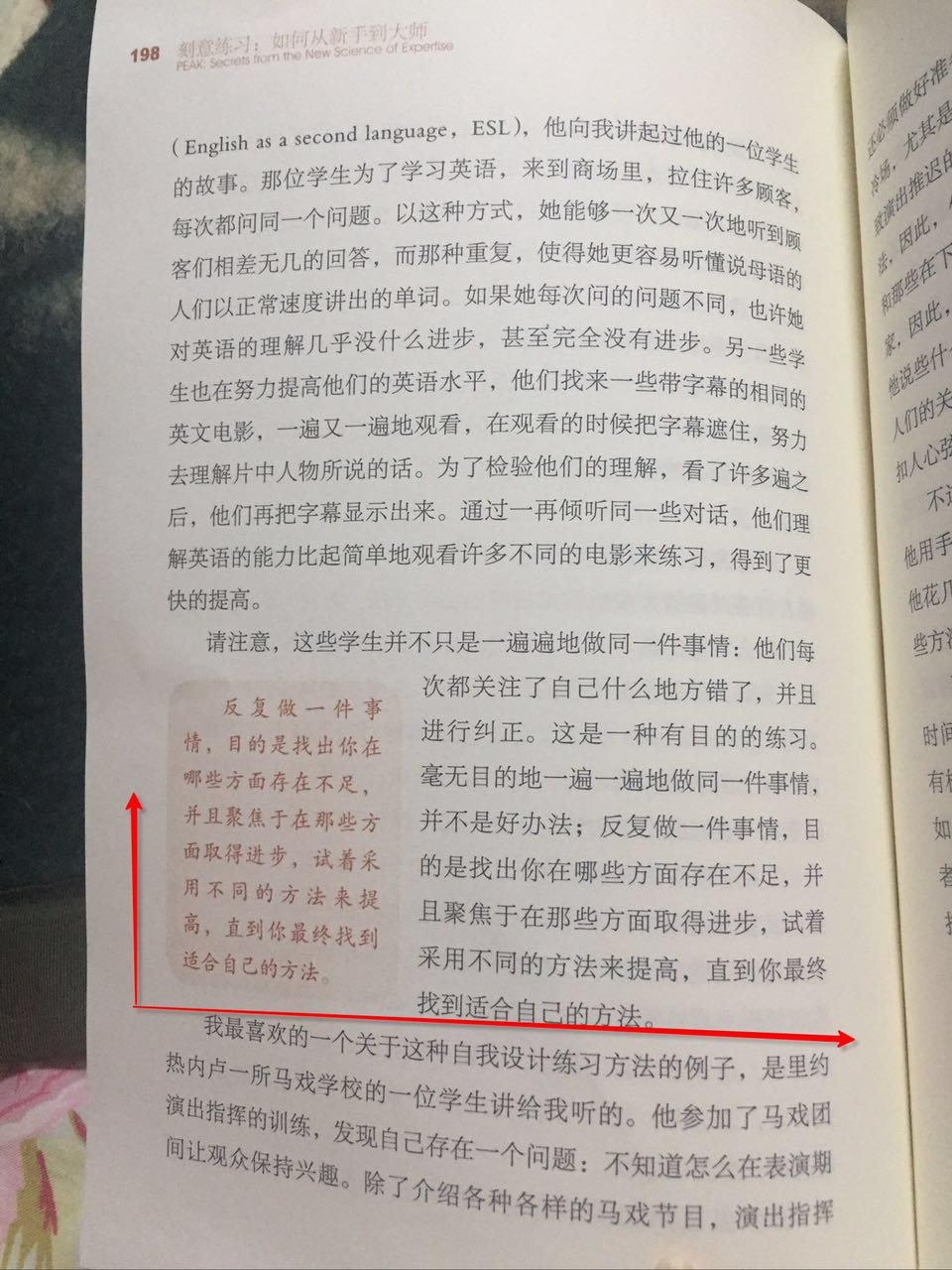 1483247275450235.jpeg P3.jpeg