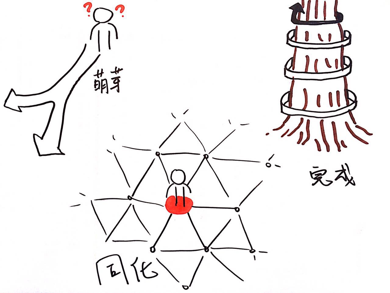 1483371620312614.jpeg 6.jpg