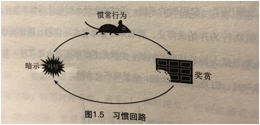 1496096647962104.png image.png