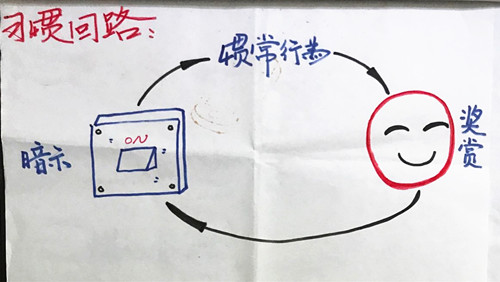 1496098340244615.jpeg 微信图片_20170530064549_副本.jpg