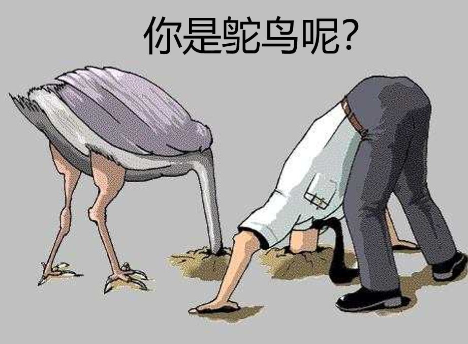 1515934747933309.png 1515934747933309.png