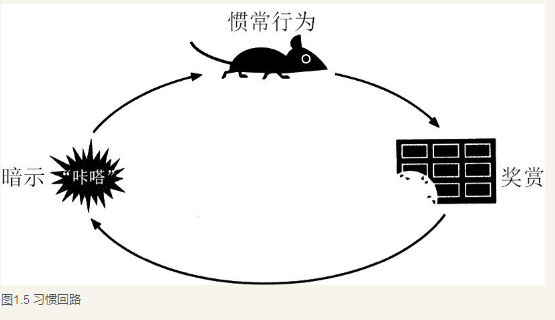 1531210056863447.png 习惯三部曲图示.png