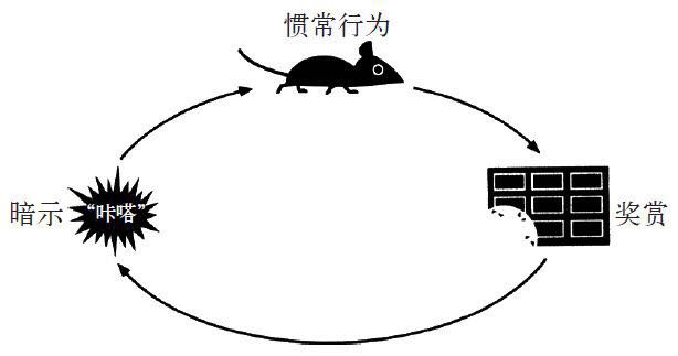 1540601117116780.jpeg 21708008183025449.jpg