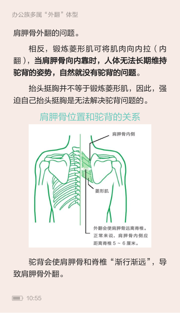 1547624259484981.png image.png